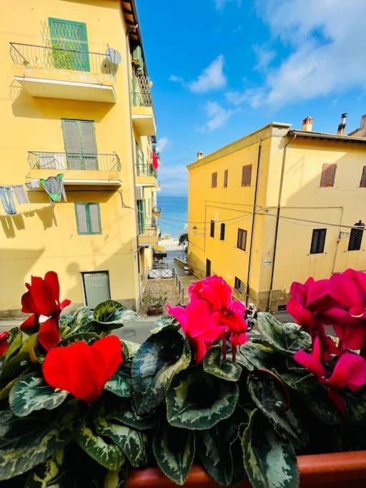 Villa Maddy House - 50 Mt Dal Mare à Porto Santo Stefano  Extérieur photo